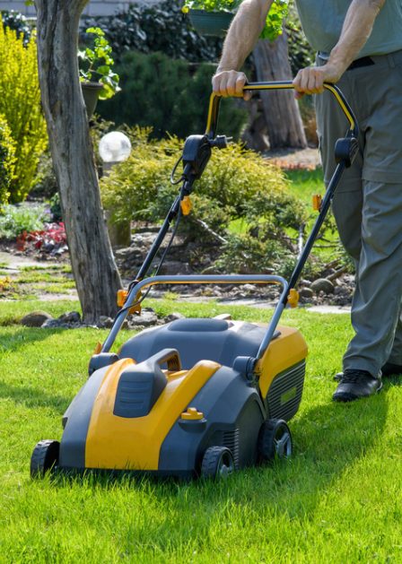 Provence Elagage Elagage Saint Laurent Du Var Debroussaillage Provence Elagage Elagage Saint Laurent Du Var Debroussaillage