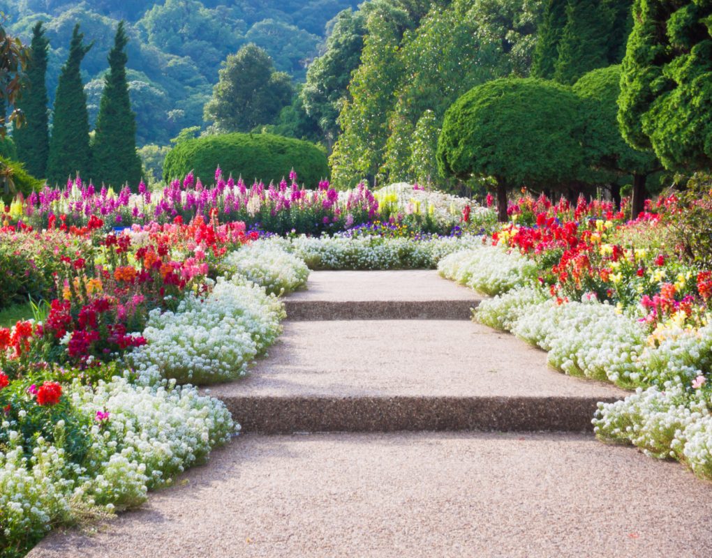 Provence Elagage Elagage Saint Laurent Du Var Elagage Abattage Debroussaillage 3