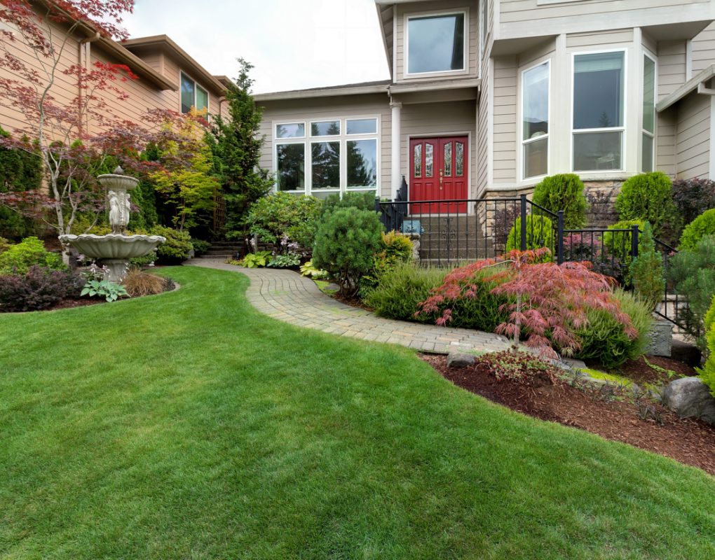 Provence Elagage Elagage Saint Laurent Du Var Elagage Abattage Debroussaillage 4